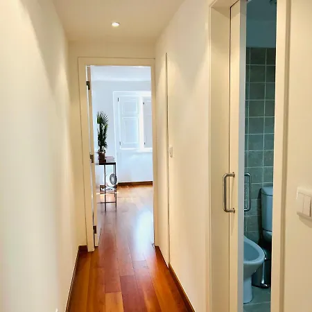 The Star Of Sao Bento