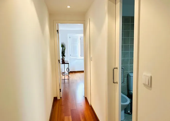 The Star Of Sao Bento